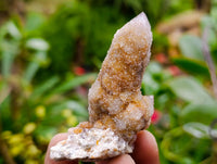 Natural Ametrine Spirit Clusters x 20 From Boekenhouthoek, South Africa