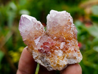 Natural Ametrine Spirit Clusters x 20 From Boekenhouthoek, South Africa