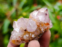 Natural Ametrine Spirit Clusters x 20 From Boekenhouthoek, South Africa