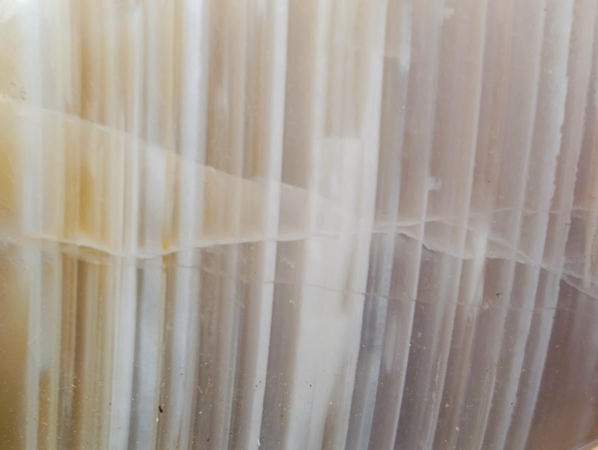 Polished Red Shashe River Agate Standing And Free Forms x 8 From Shashe River, Zimbabwe