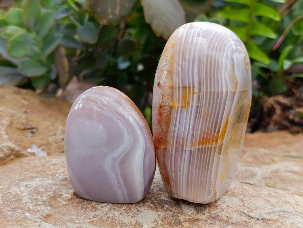 Polished Red Shashe River Agate Standing And Free Forms x 8 From Shashe River, Zimbabwe