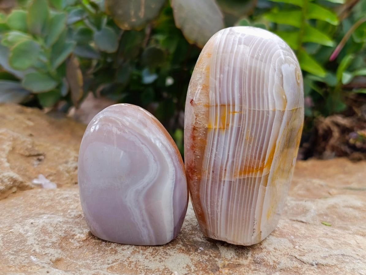 Polished Red Shashe River Agate Standing And Free Forms x 8 From Shashe River, Zimbabwe