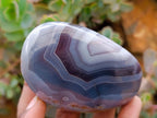 Polished Red Shashe River Agate Standing And Free Forms x 8 From Shashe River, Zimbabwe