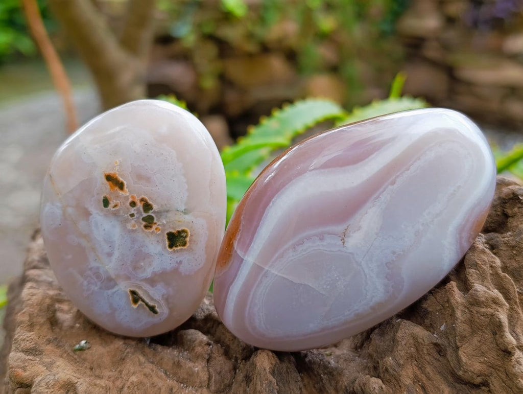 Polished Red Shashe River Agate Standing And Free Forms x 8 From Shashe River, Zimbabwe