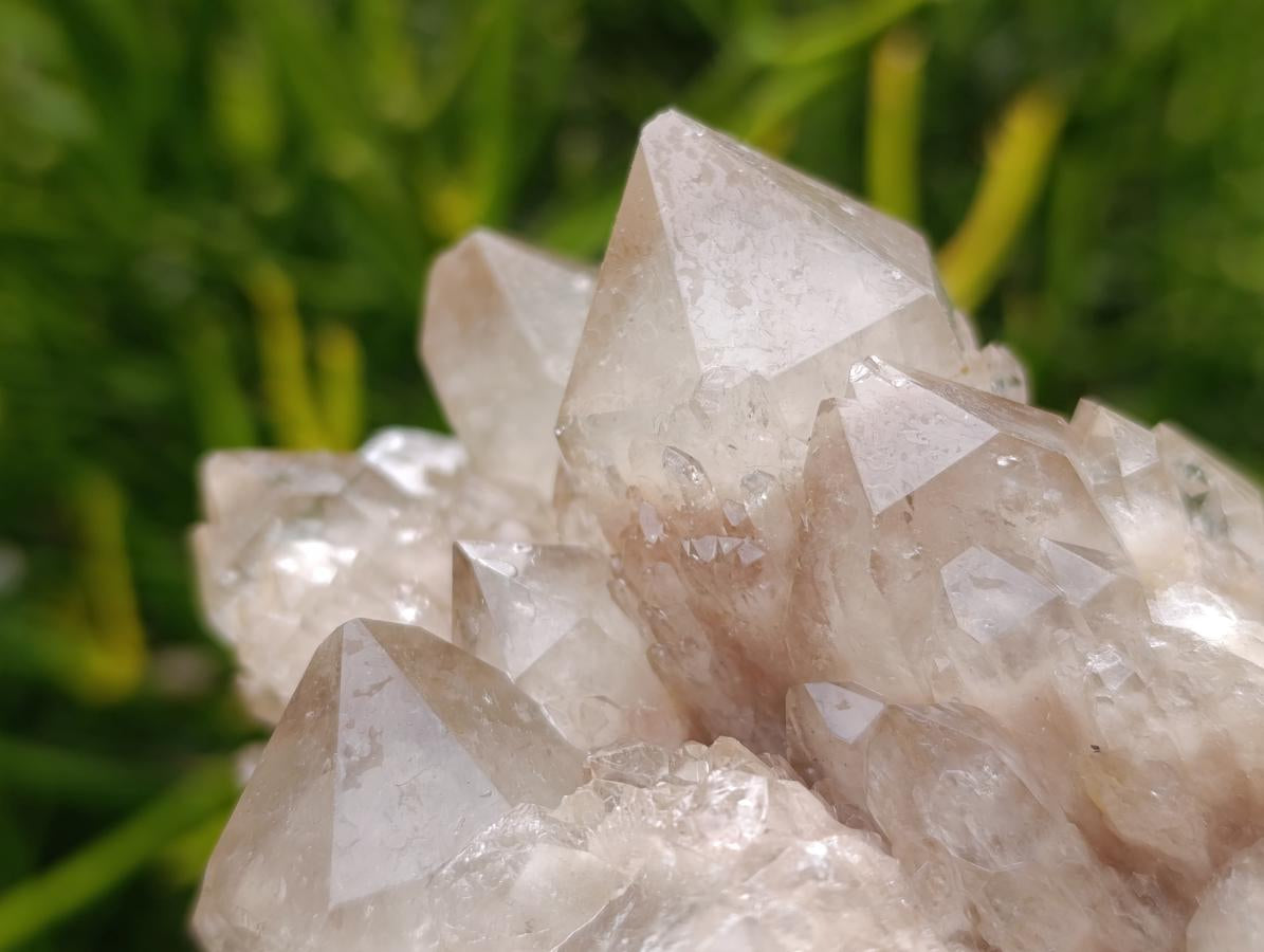 Natural Smokey Phantom Quartz Clusters x 3 From Luena, Congo