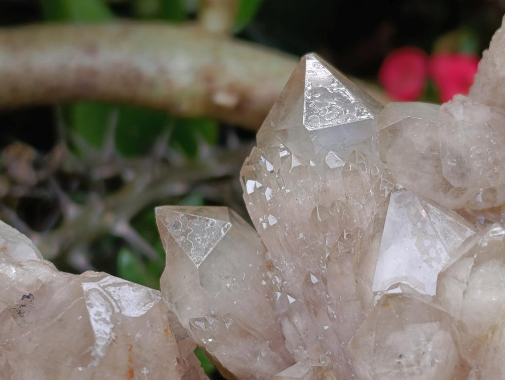 Natural Smokey Phantom Quartz Clusters x 3 From Luena, Congo