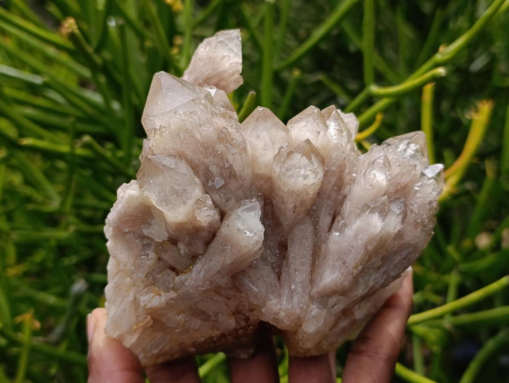 Natural Smokey Phantom Quartz Clusters x 3 From Luena, Congo