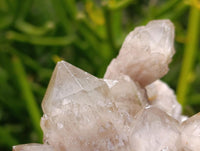 Natural Smokey Phantom Quartz Clusters x 3 From Luena, Congo