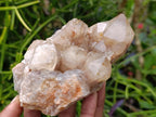 Natural Smokey Phantom Quartz Clusters x 3 From Luena, Congo
