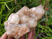 Natural Smokey Phantom Quartz Clusters x 3 From Luena, Congo
