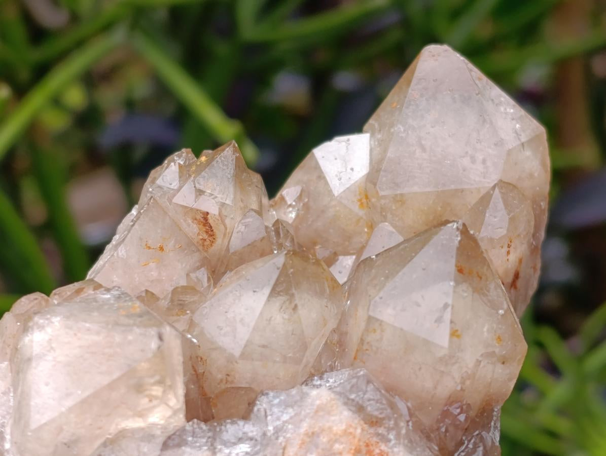 Natural Smokey Phantom Quartz Clusters x 3 From Luena, Congo