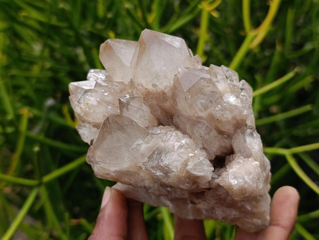 Natural Smokey Phantom Quartz Clusters x 3 From Luena, Congo