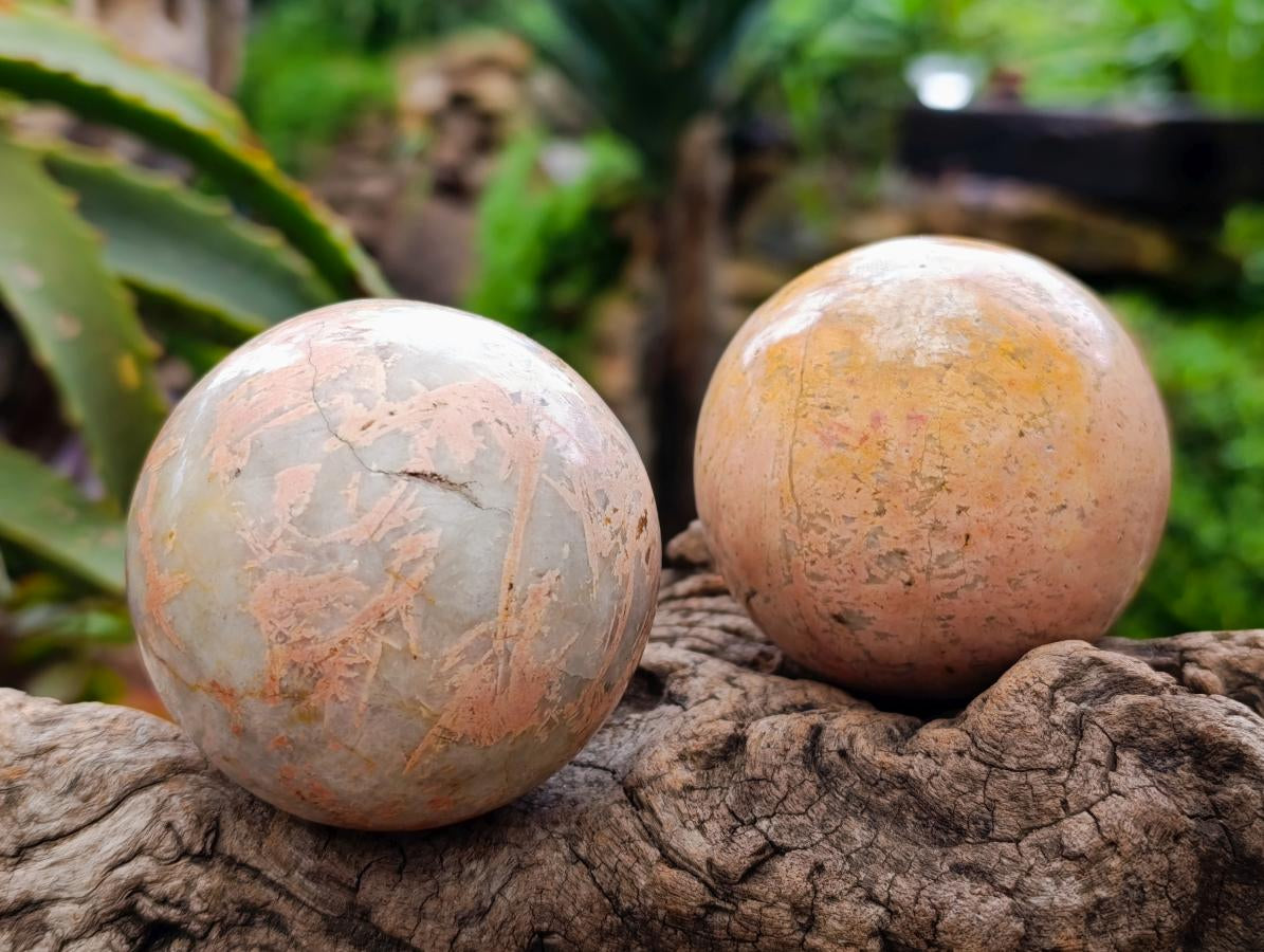 Polished Small Runestone Moonstone Feldspar Spheres x 8 From Zimbabwe