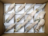 Natural Drusy Quartz Coated Calcite Spearhead Specimens x 12 From Alberts Mountain, Lesotho