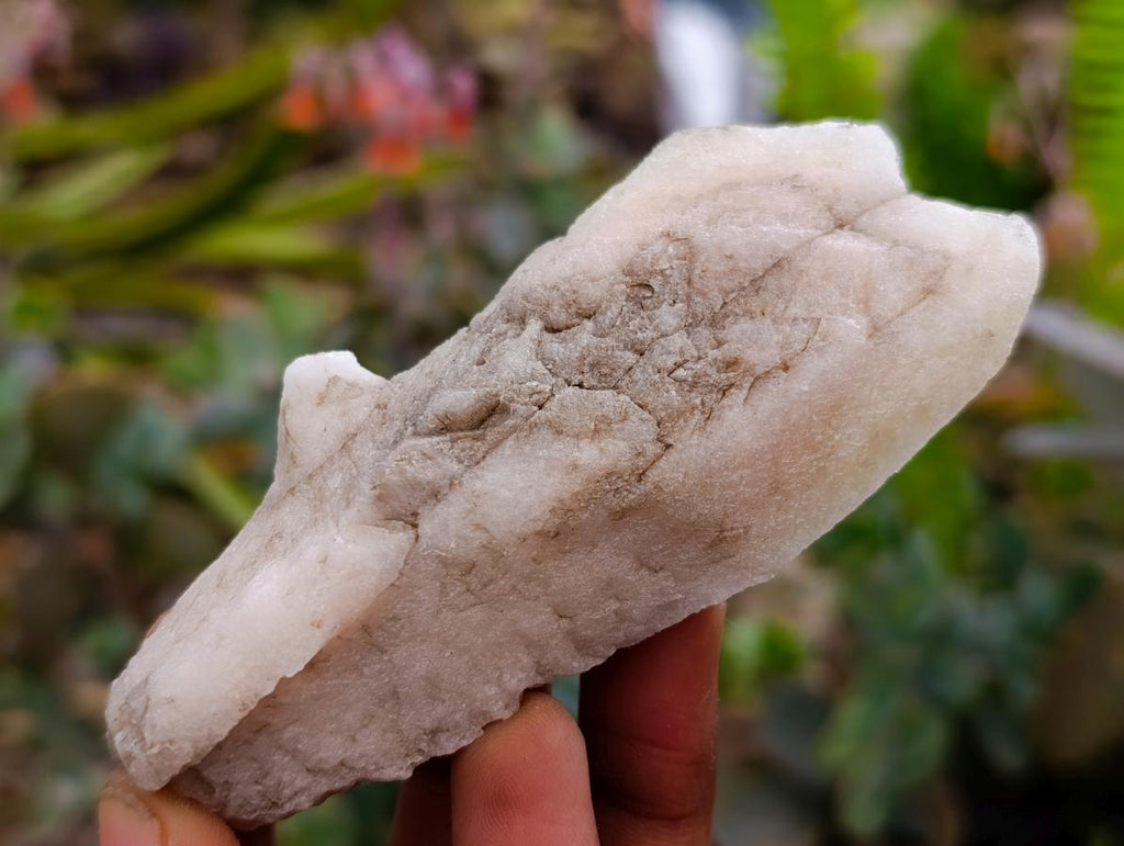 Natural Drusy Quartz Coated Calcite Spearhead Specimens x 12 From Alberts Mountain, Lesotho