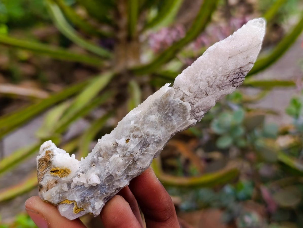 Natural Drusy Quartz Coated Calcite Spearhead Specimens x 12 From Alberts Mountain, Lesotho