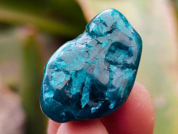 Polished Dioptase Free Forms x 35 From Likasi, Congo