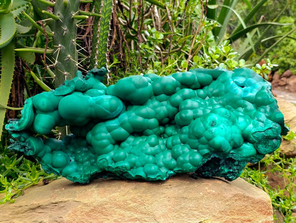 Natural XL Botryoidal Malachite Specimen x 1 From Congo