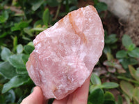 Natural Cobbed Rose Quartz Specimens x 7 From Northern Cape, South Africa