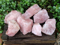 Natural Cobbed Rose Quartz Specimens x 7 From Northern Cape, South Africa
