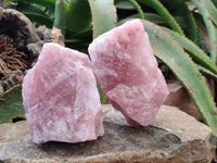 Natural Cobbed Rose Quartz Specimens x 7 From Northern Cape, South Africa