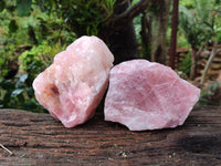 Natural Cobbed Rose Quartz Specimens x 7 From Northern Cape, South Africa