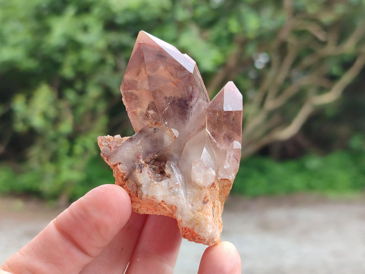 Natural Red Hematoid Quartz Crystals x 12 From Karoi, Zimbabwe