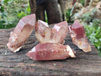Natural Red Hematoid Quartz Crystals x 12 From Karoi, Zimbabwe