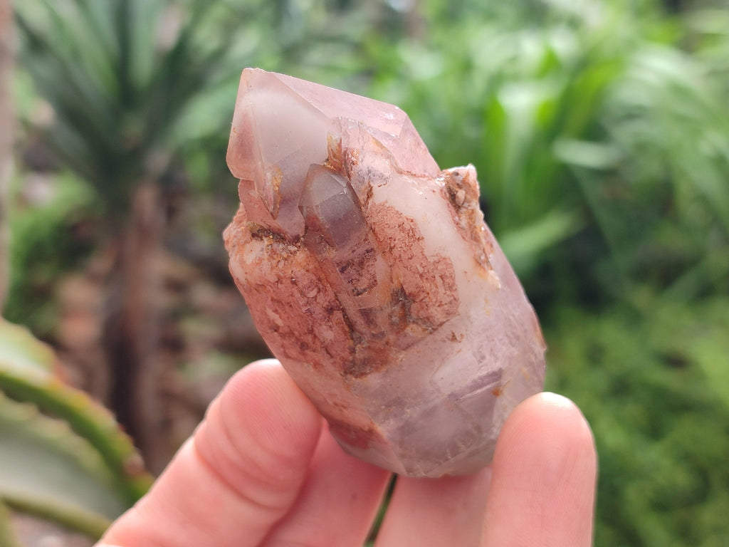 Natural Red Hematoid Quartz Crystals x 12 From Karoi, Zimbabwe