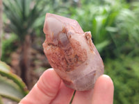 Natural Red Hematoid Quartz Crystals x 12 From Karoi, Zimbabwe