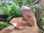 Natural Red Hematoid Quartz Crystals x 12 From Karoi, Zimbabwe