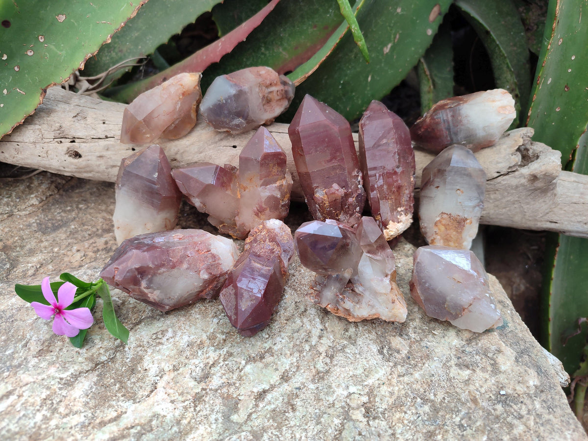 Natural Red Hematoid Quartz Crystals x 12 From Karoi, Zimbabwe