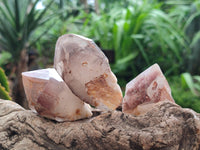 Natural Red Hematoid Quartz Crystals x 12 From Karoi, Zimbabwe