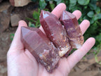 Natural Red Hematoid Quartz Crystals x 12 From Karoi, Zimbabwe