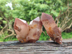Natural Red Hematoid Quartz Crystals x 12 From Karoi, Zimbabwe