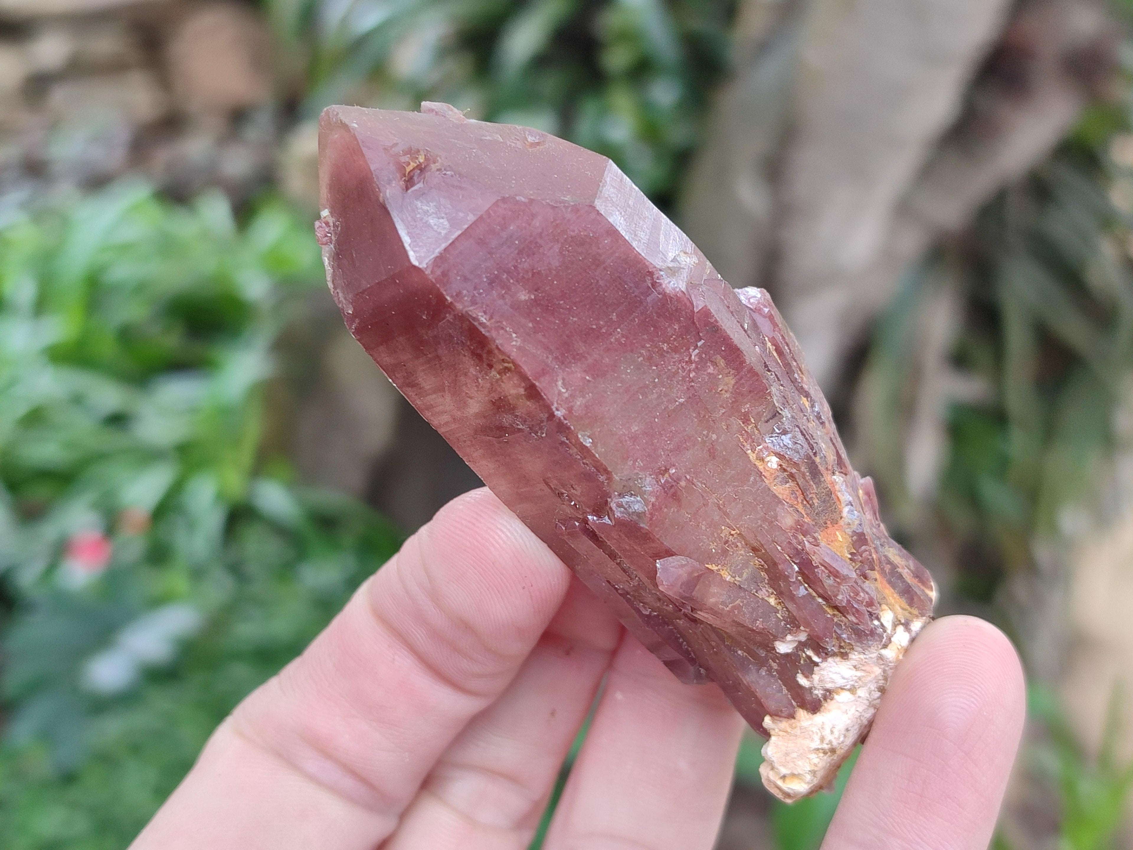 Natural Red Hematoid Quartz Crystals x 12 From Karoi, Zimbabwe
