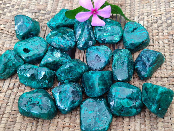 Polished Dioptase Free Forms x 20 From Likasi, Congo