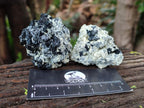 Natural Schorl Black Tourmaline with Hyalite Opal x 12 From Erongo, Namibia