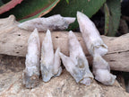Natural Drusy Quartz Coated Spearhead Calcite Specimens x 20 From Alberts Mountain, Lesotho - Toprock Gemstones and Minerals 