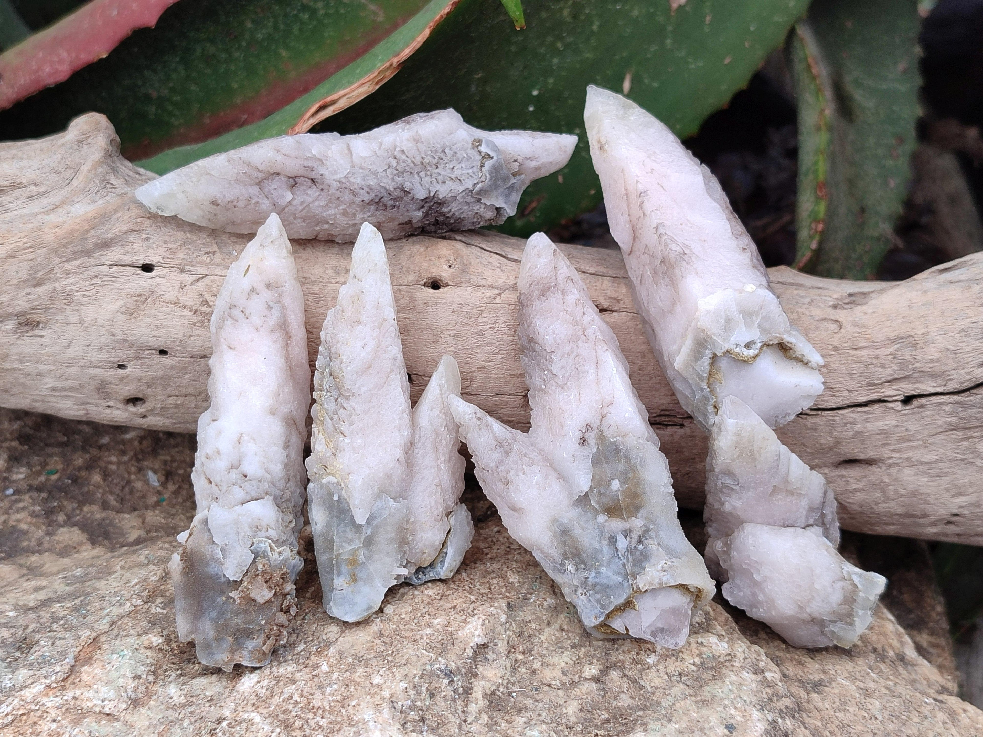Natural Drusy Quartz Coated Spearhead Calcite Specimens x 20 From Alberts Mountain, Lesotho - Toprock Gemstones and Minerals 