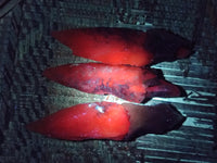 Natural Drusy Quartz Coated Spearhead Calcite Specimens x 20 From Alberts Mountain, Lesotho