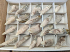 Natural Drusy Quartz Coated Spearhead Calcite Specimens x 20 From Alberts Mountain, Lesotho - Toprock Gemstones and Minerals 