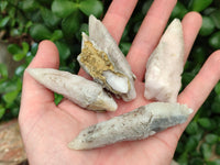 Natural Drusy Quartz Coated Spearhead Calcite Specimens x 20 From Alberts Mountain, Lesotho