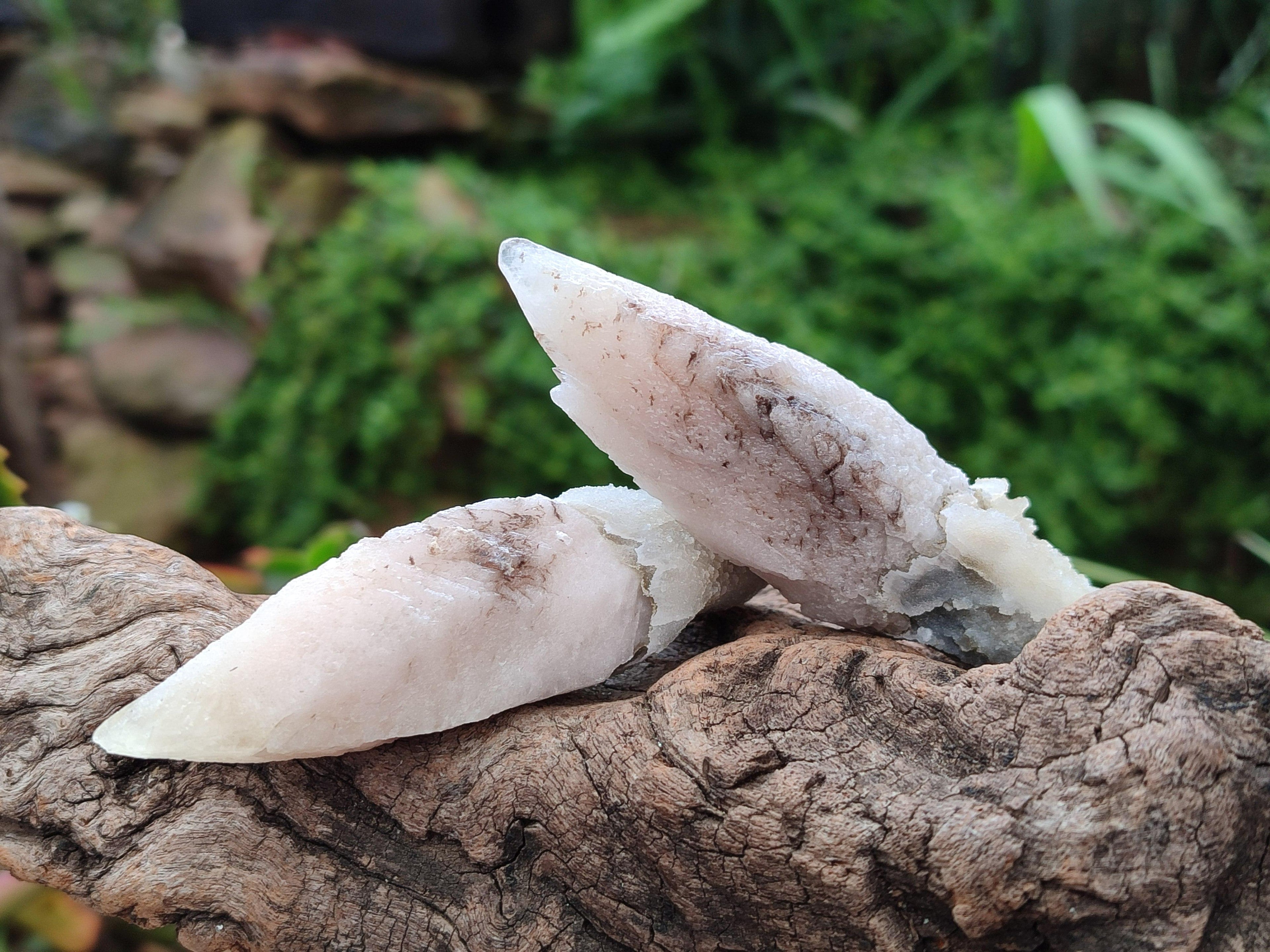 Natural Drusy Quartz Coated Spearhead Calcite Specimens x 20 From Alberts Mountain, Lesotho