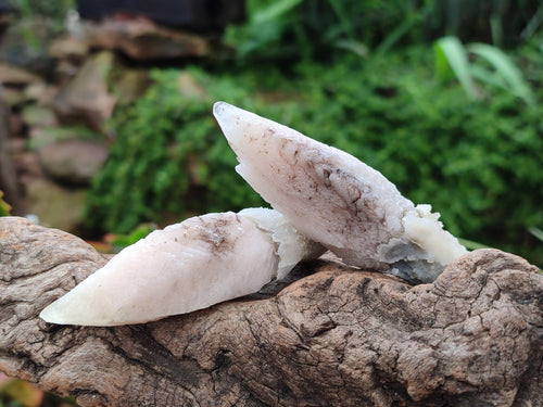 Natural Drusy Quartz Coated Spearhead Calcite Specimens x 20 From Alberts Mountain, Lesotho - Toprock Gemstones and Minerals 