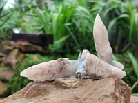 Natural Drusy Quartz Coated Spearhead Calcite Specimens x 20 From Alberts Mountain, Lesotho