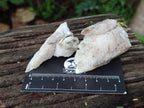 Natural Drusy Quartz Coated Spearhead Calcite Specimens x 20 From Alberts Mountain, Lesotho - Toprock Gemstones and Minerals 