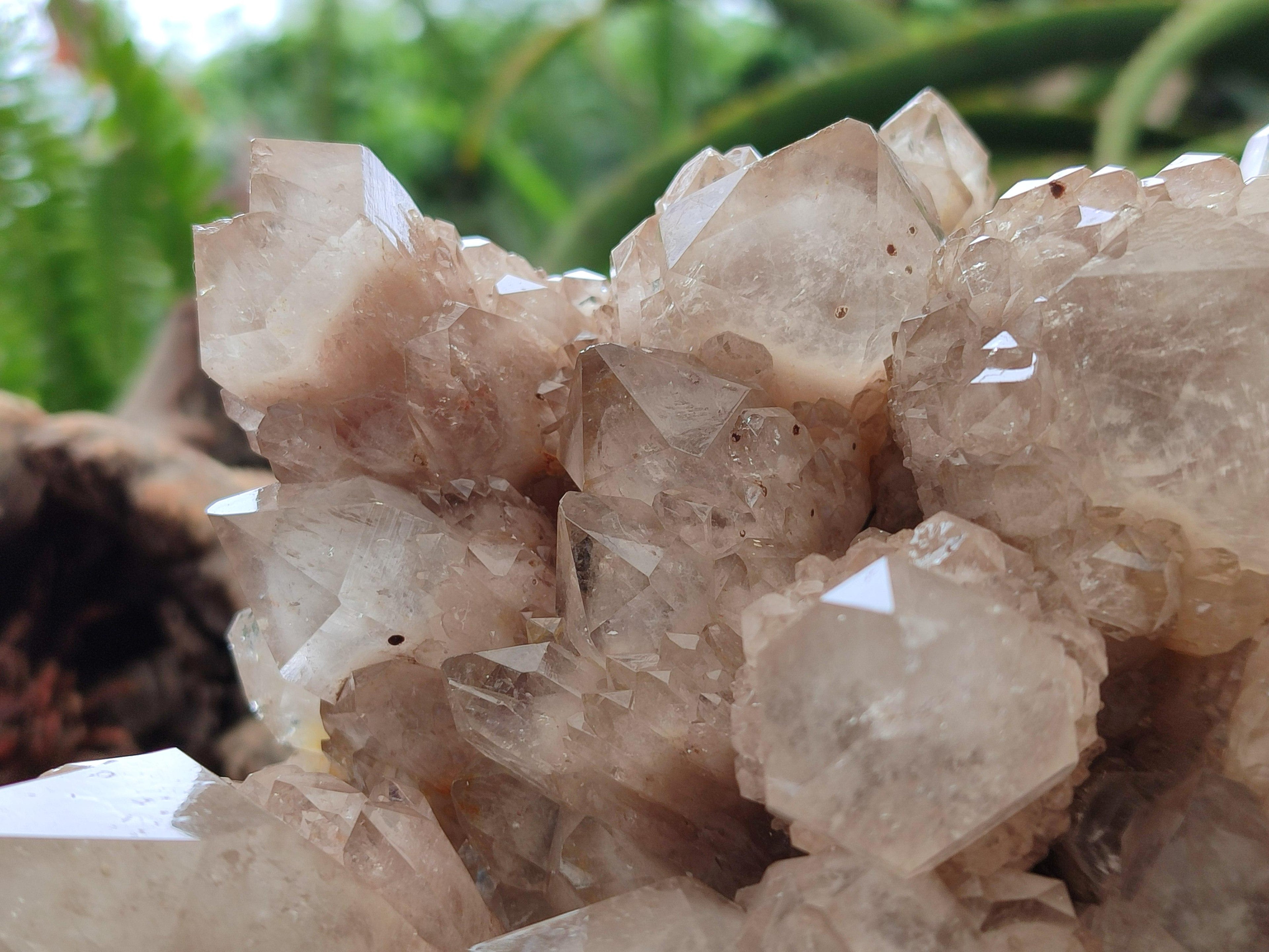 Natural XL Luena Cascading Smokey Phantom Quartz Cluster x 1 From Congo
