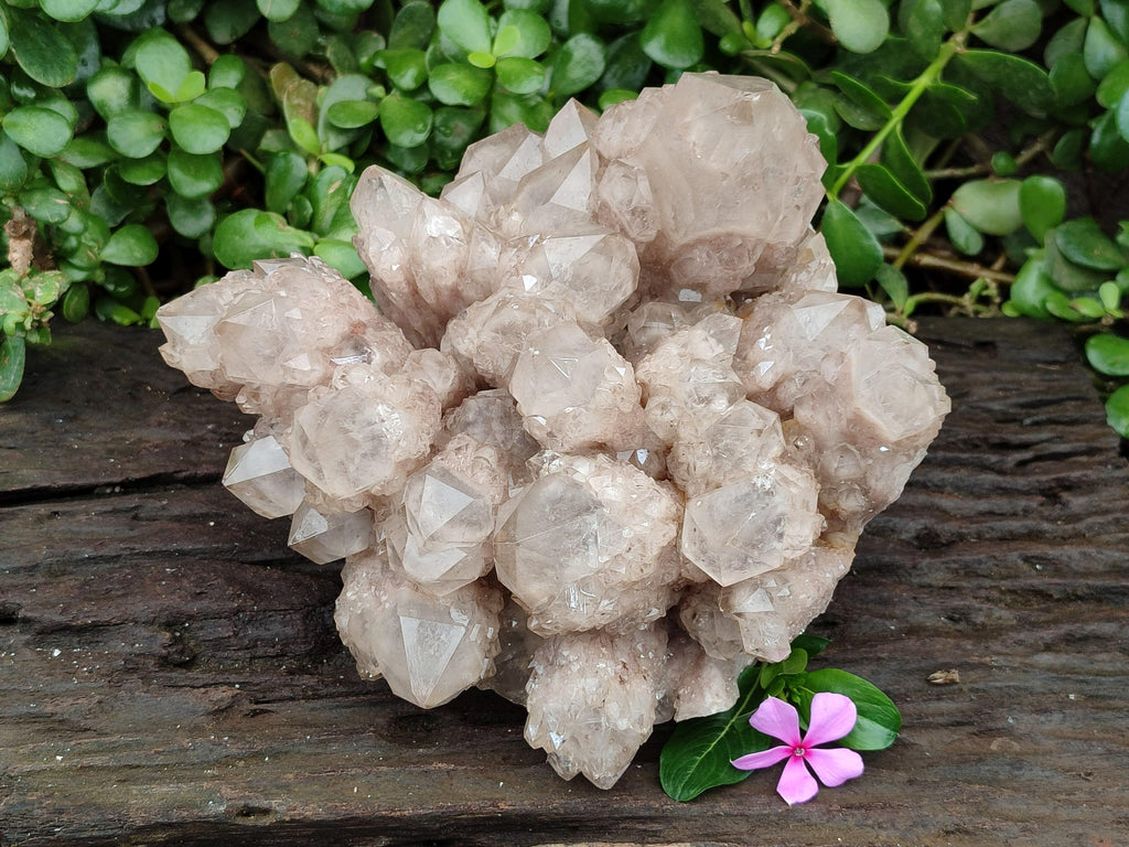 Natural XL Luena Cascading Smokey Phantom Quartz Cluster x 1 From Congo