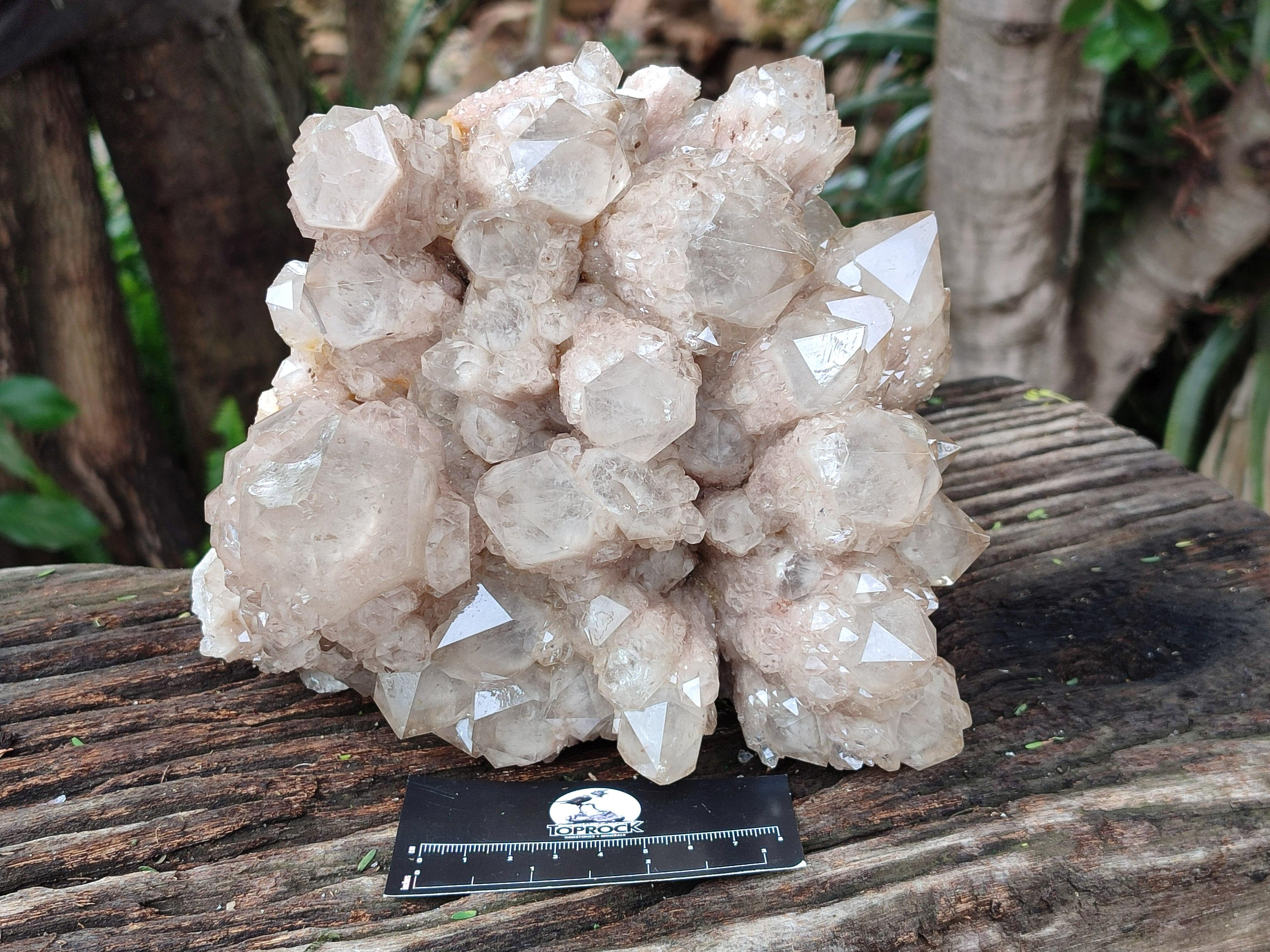 Natural XL Luena Cascading Smokey Phantom Quartz Cluster x 1 From Congo